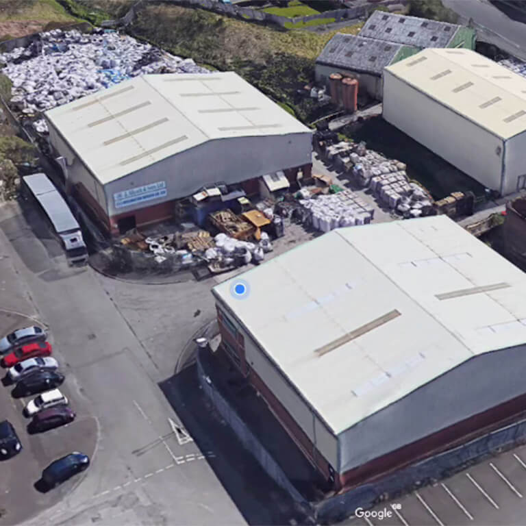 tree in a field on a sunny day