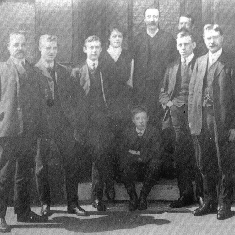 tree in a field on a sunny day